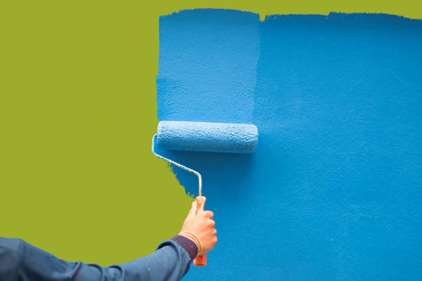 Reliable San Augustine, TX Dry wall and painting Solutions